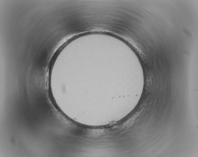 X0000115391126200911171450