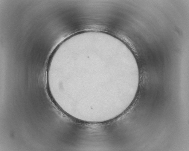 X0000115391130200911171450