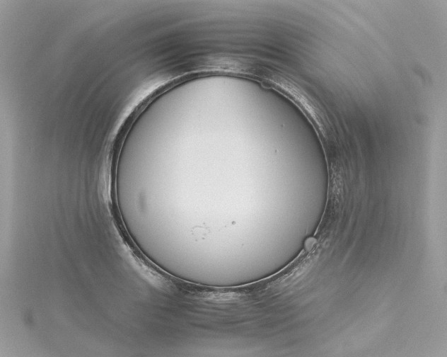 X0000115391131200911171450