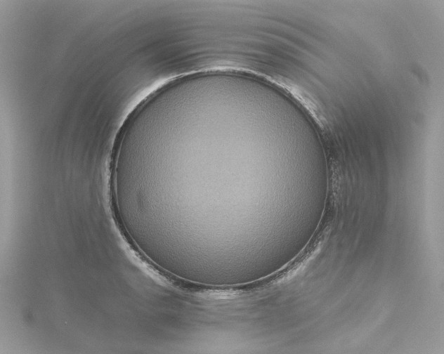 X0000115391134200911171451