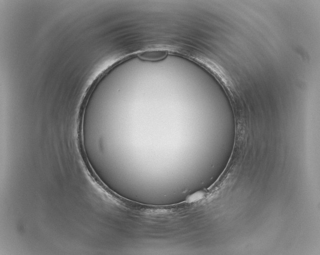 X0000115391135200911171451