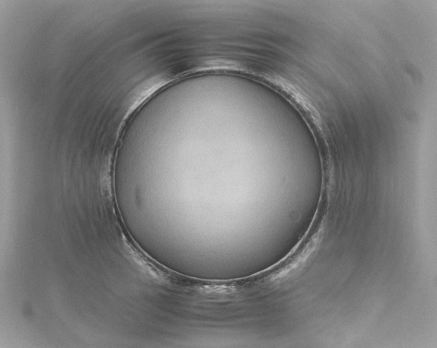 X0000115391137200911171451