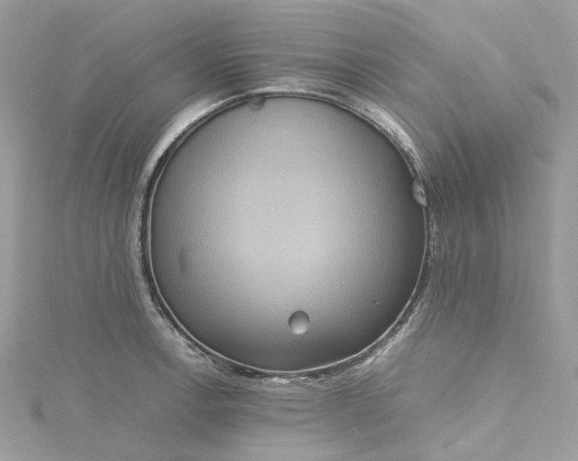 X0000115391138200911171451