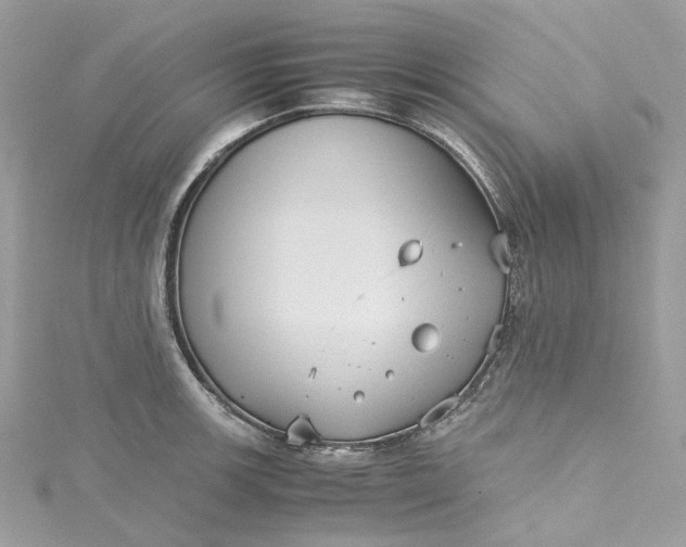 X0000115391139200911171451