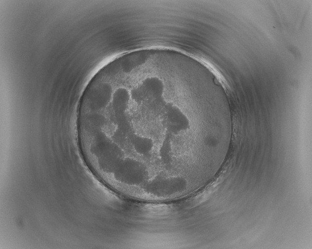 X0000115391142200911171451