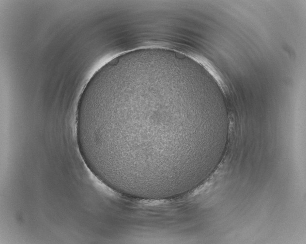 X0000115391143200911171451