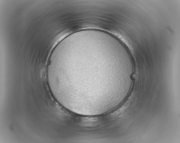 X0000115391145200911171451