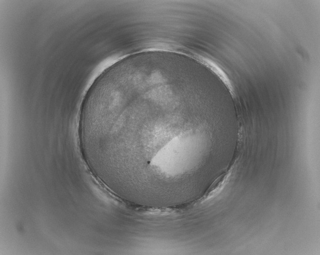 X0000115391146200911171451