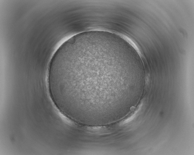 X0000115391149200911171451