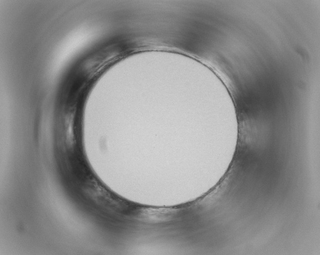 X0000115391150200911171451