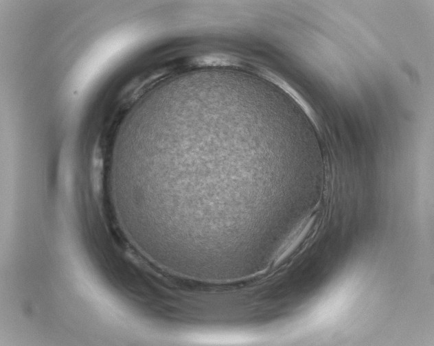 X0000115391151200911171451