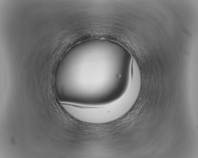 X0000115391153200911171450