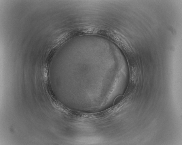 X0000115391154200911171450