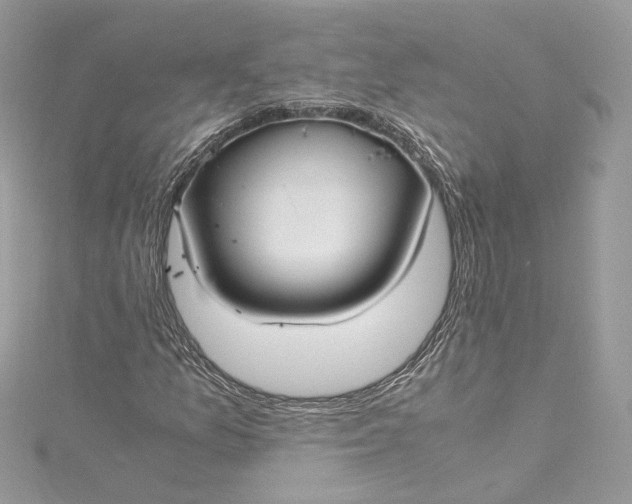 X0000115391157200911171450