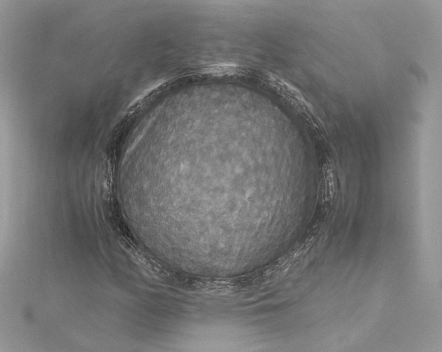 X0000115391158200911171450