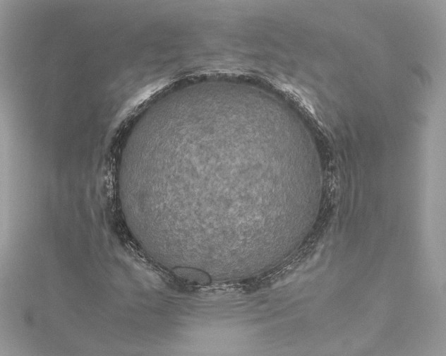 X0000115391159200911171450