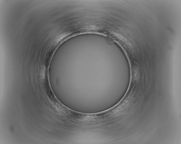 X0000115391161200911171450