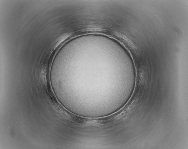 X0000115391162200911171450