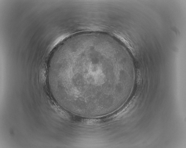 X0000115391163200911171450