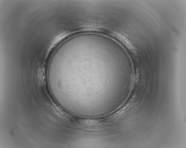 X0000115391164200911171450