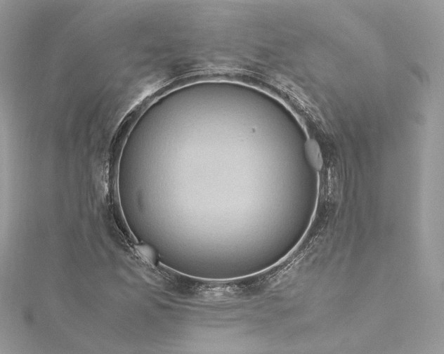 X0000115391165200911171450