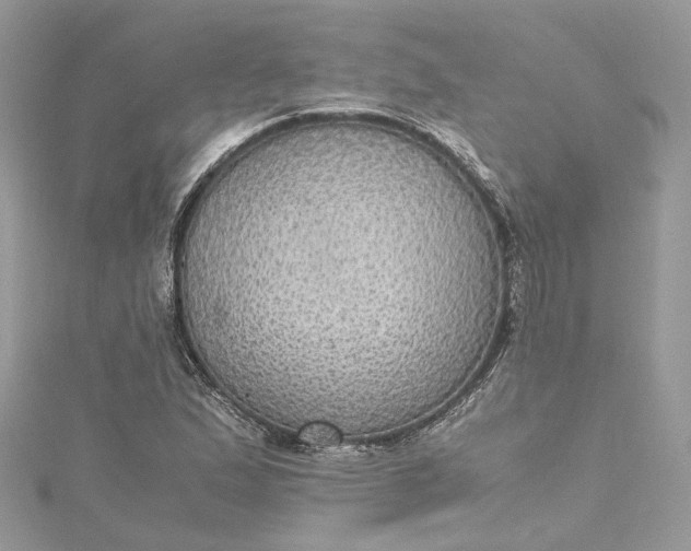 X0000115391167200911171450