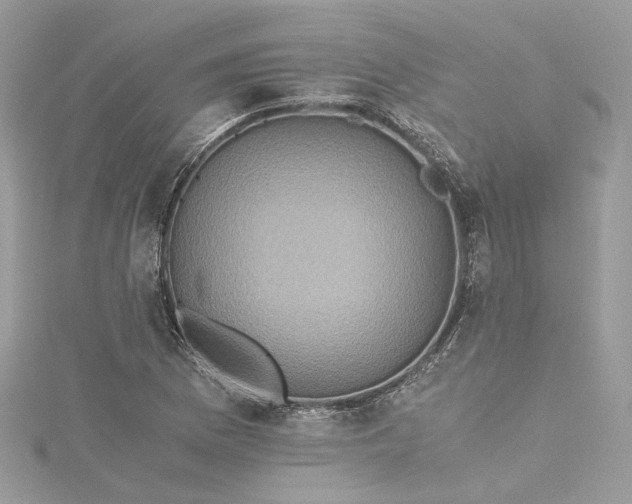 X0000115391169200911171450