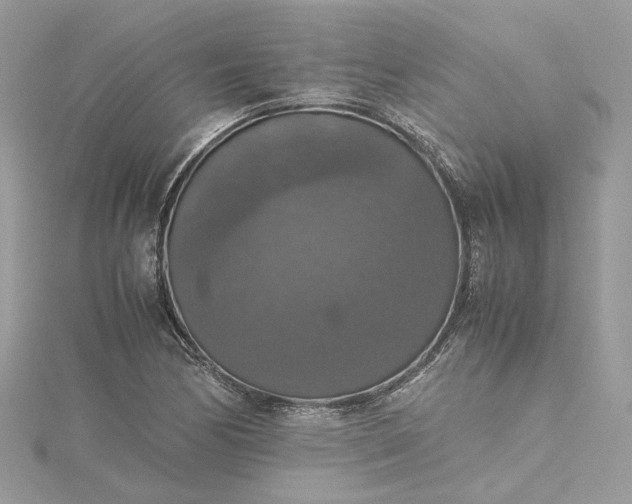 X0000115391170200911171450