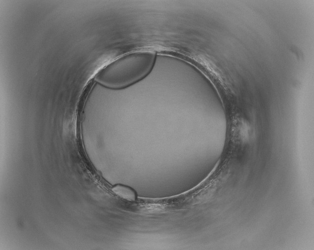 X0000115391173200911171450