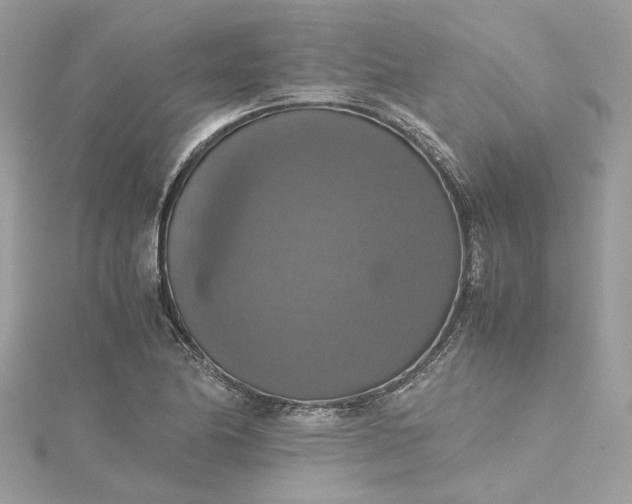 X0000115391174200911171450