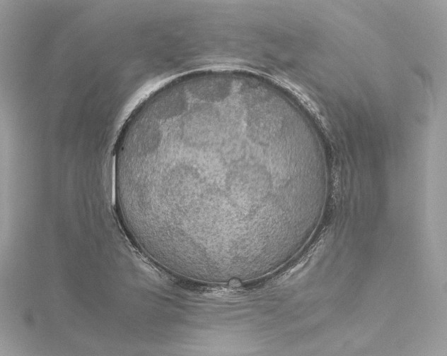 X0000115391175200911171450