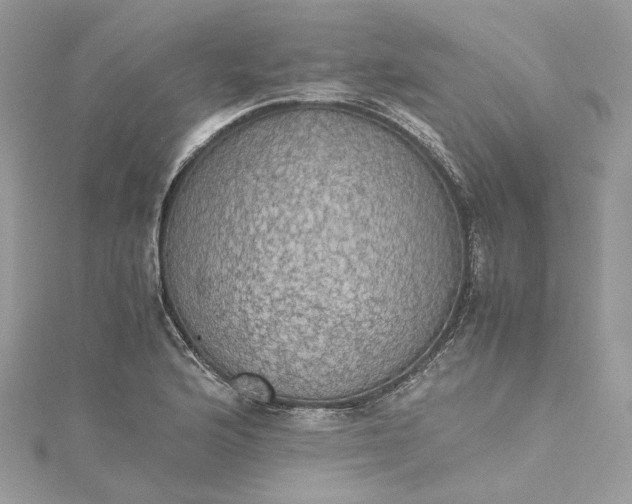 X0000115391176200911171450