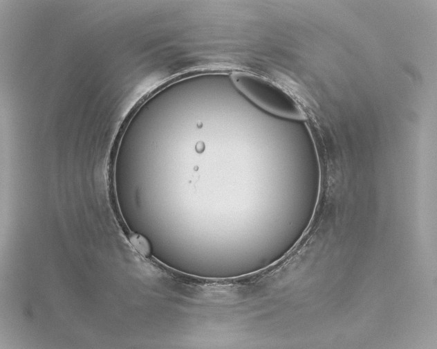 X0000115391181200911171450