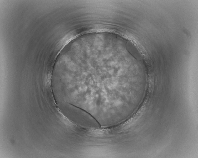 X0000115391185200911171450