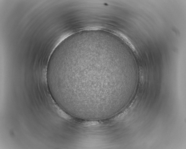 X0000115391186200911171450