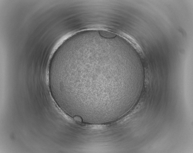 X0000115391188200911171450