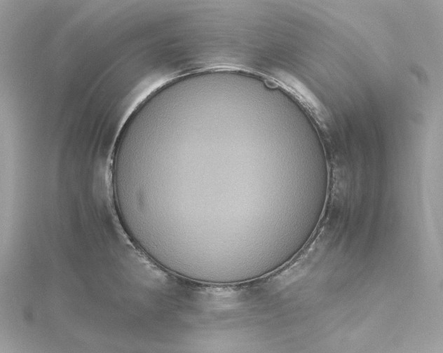 X0000115391190200911171450