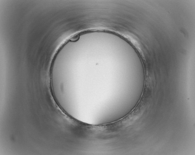 X0000115391191200911171450