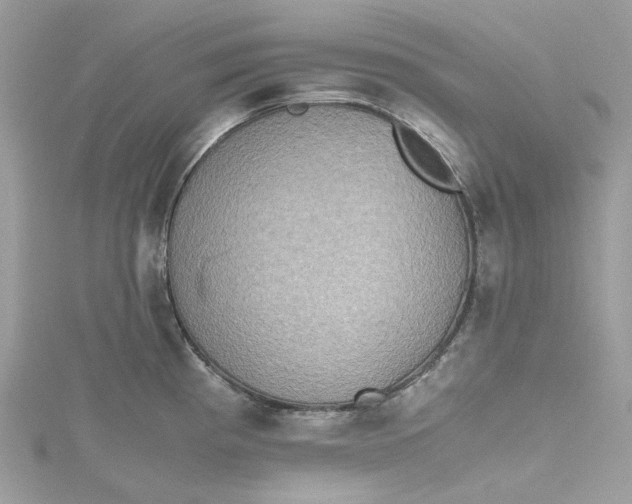 X0000115391193200911171450