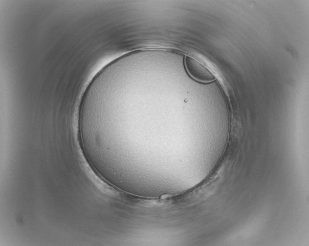 X0000115391195200911171450