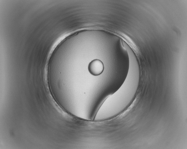 X0000115391196200911171450