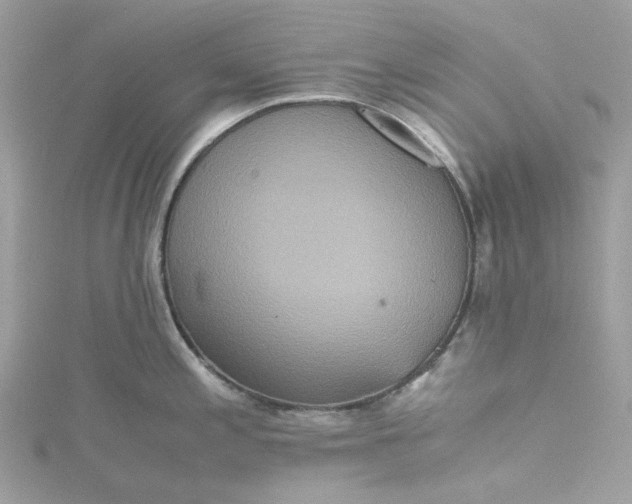 X0000115391197200911171450