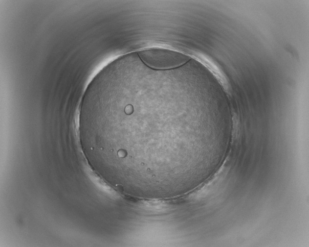 X0000115391198200911171450