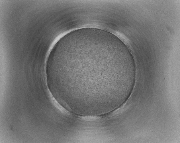 X0000115391200200911171450