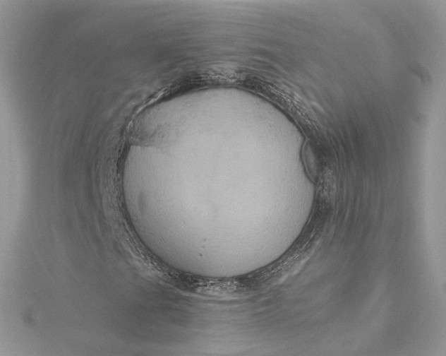 X0000115391201200911171449