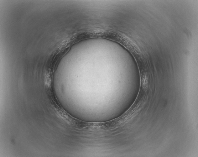 X0000115391204200911171449