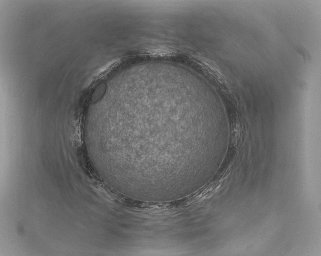 X0000115391205200911171449