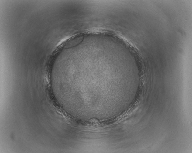 X0000115391206200911171449