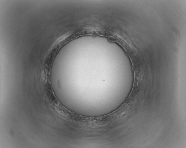 X0000115391207200911171449