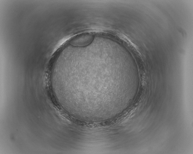 X0000115391208200911171449